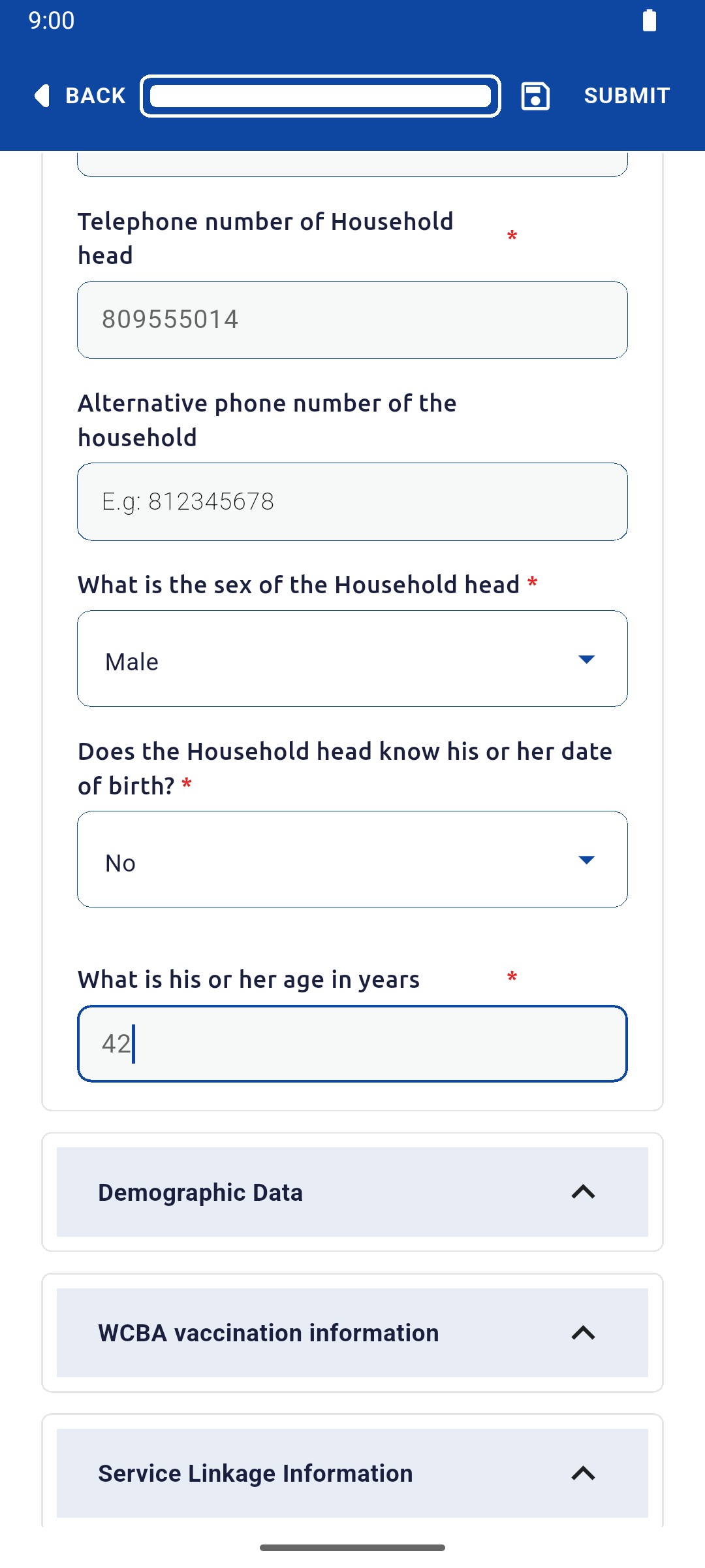 Head of Household Data with phone, sex, date of birth answer and age entered